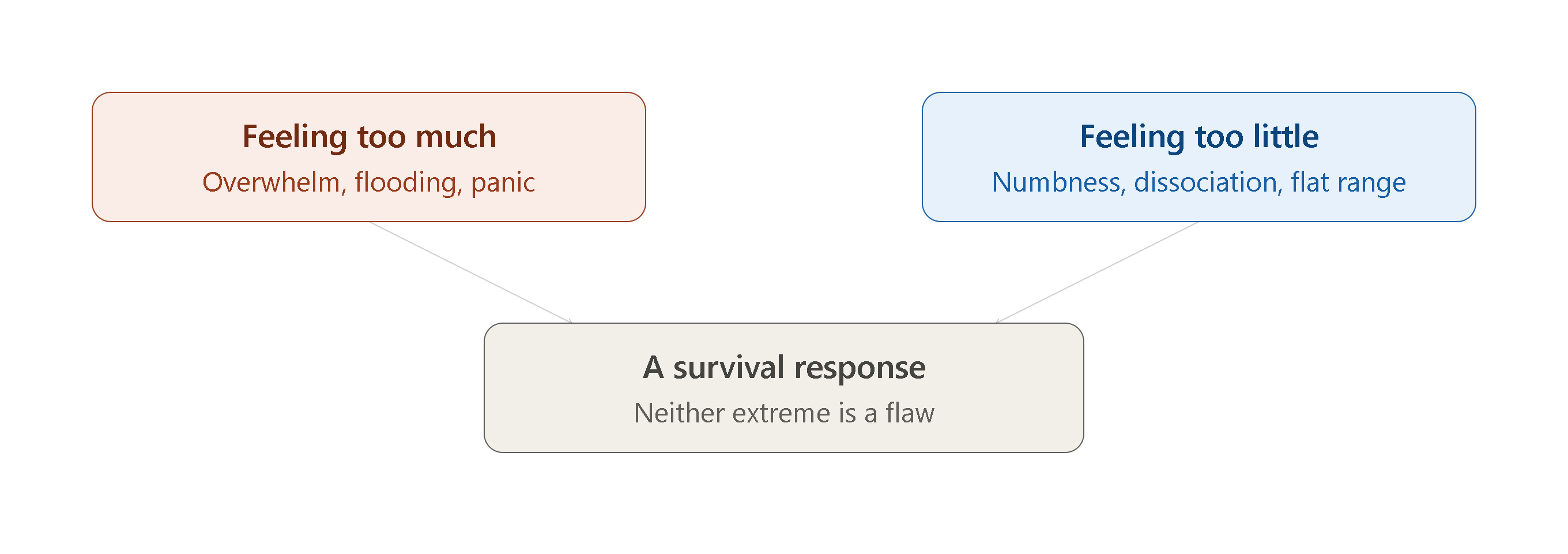 trauma-triggers-compassion-based-regulation